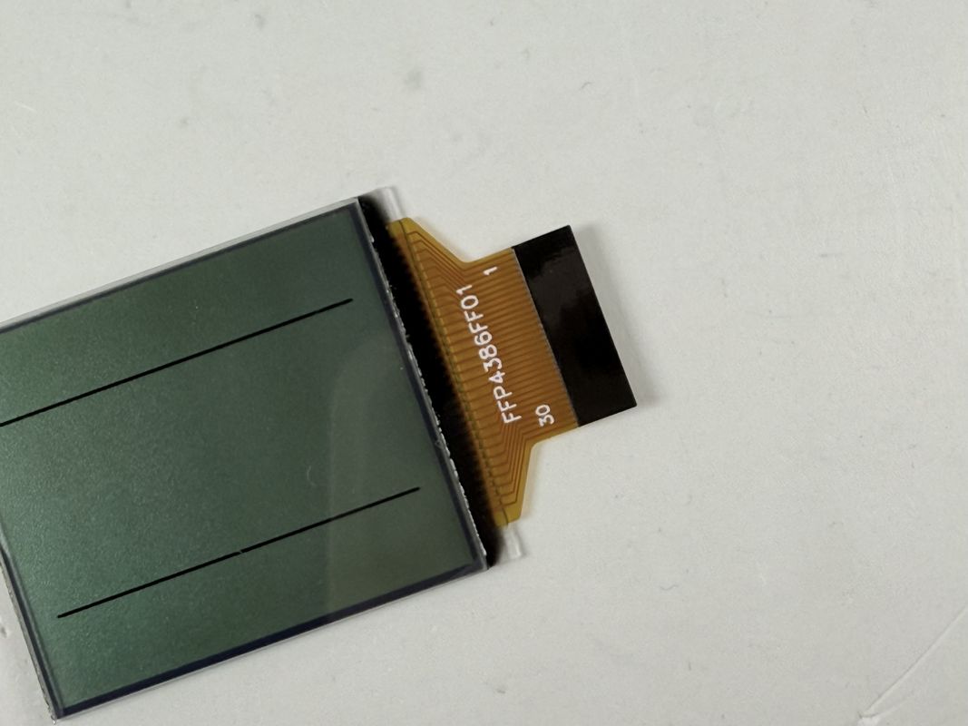 কাস্টম এফএসটিএন ব্ল্যাক অ্যান্ড হোয়াইট এলসিডি ডিসপ্লে | শিল্প ও বৈদ্যুতিন অ্যাপ্লিকেশনগুলির জন্য একরঙা বিভাগ এলসিডি