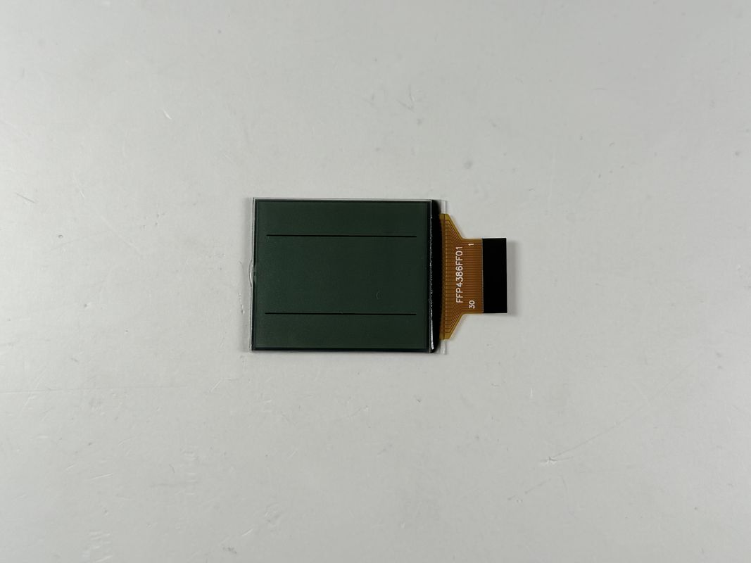 কাস্টম এফএসটিএন ব্ল্যাক অ্যান্ড হোয়াইট এলসিডি ডিসপ্লে | শিল্প ও বৈদ্যুতিন অ্যাপ্লিকেশনগুলির জন্য একরঙা বিভাগ এলসিডি