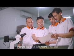 ডংগুয়ান ফ্যাংসং এলসিডি কোং, লিমিটেড